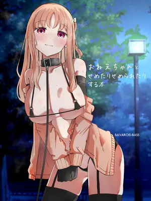 [ババロアバス] おねえちゃんと せめたりせめられたりする本  [中国翻訳] [DL版]